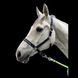 licol cheval brodé licol cheval brodé