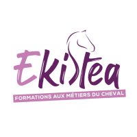 Ekistea